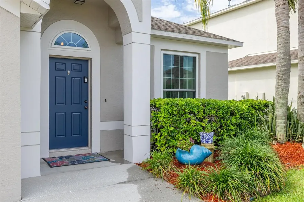 10632 Firebrick Court Trinity FL 34655