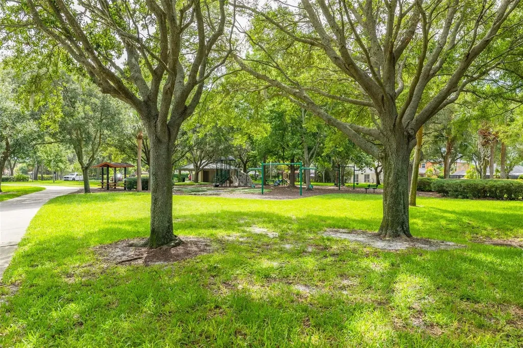 10632 Firebrick Court Trinity FL 34655