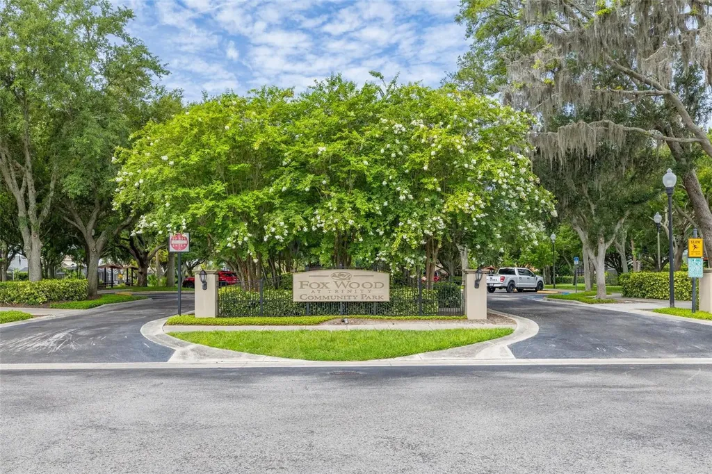 10632 Firebrick Court Trinity FL 34655
