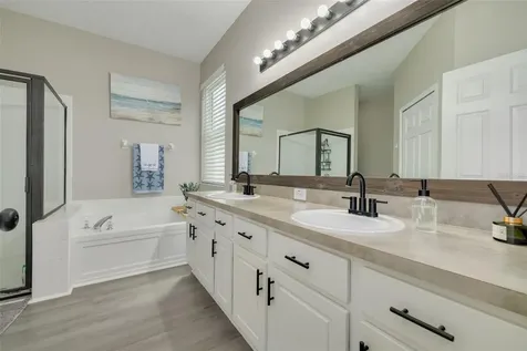 10632 Firebrick Court Trinity FL 34655
