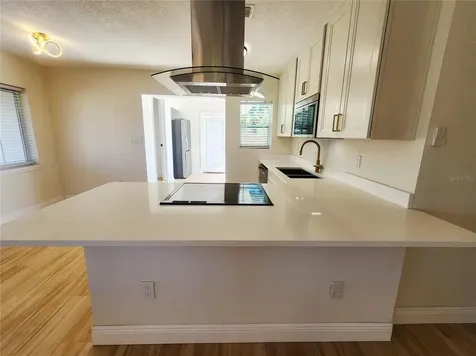 2494 Del Rio Way Dunedin FL 34698