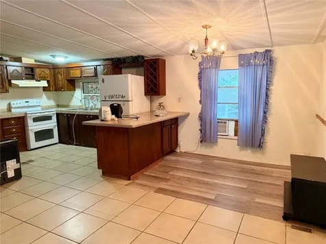24021 Armadillo Road Astor FL 32102