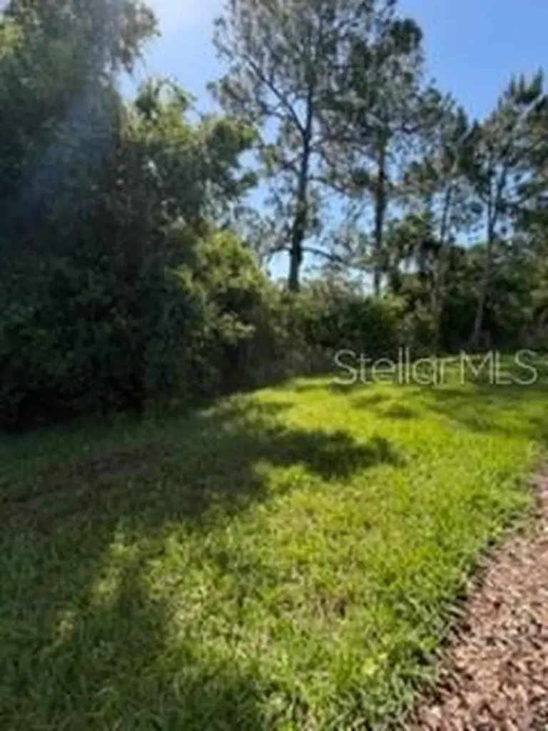 3918 Gaviota Drive Sun City Center FL 33573