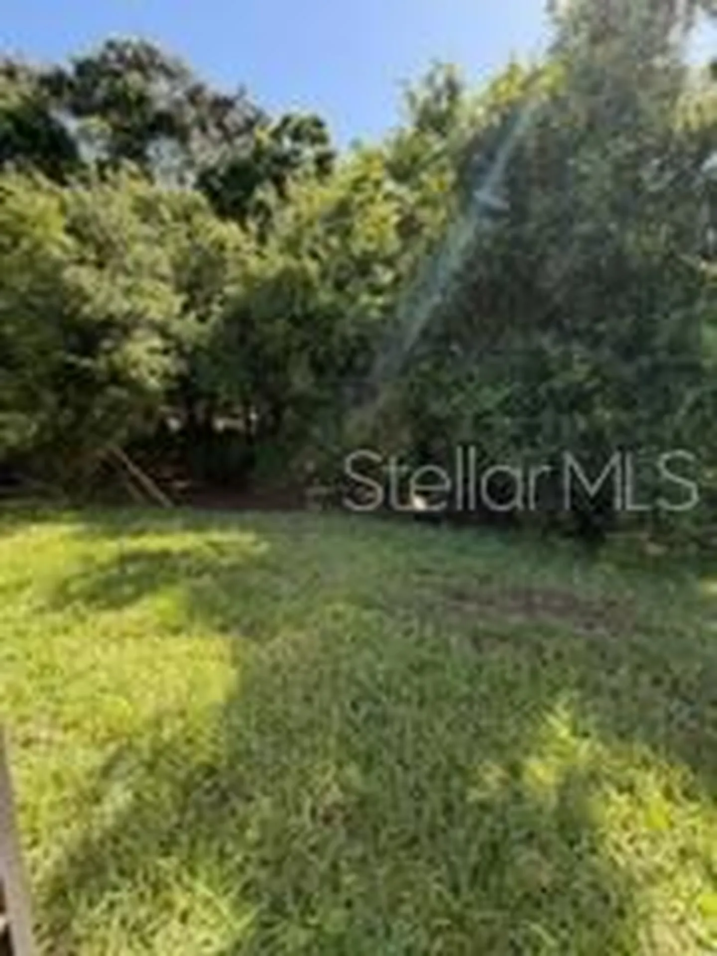 3918 Gaviota Drive Sun City Center FL 33573