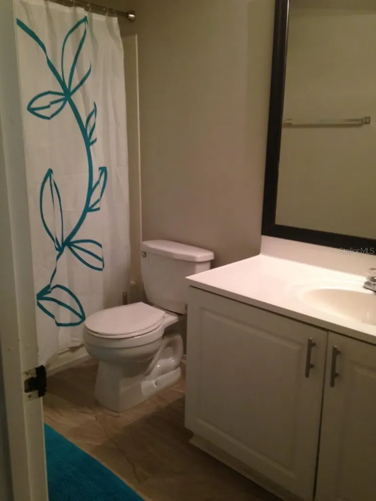 4211 Chatham Oak Court Tampa FL 33624