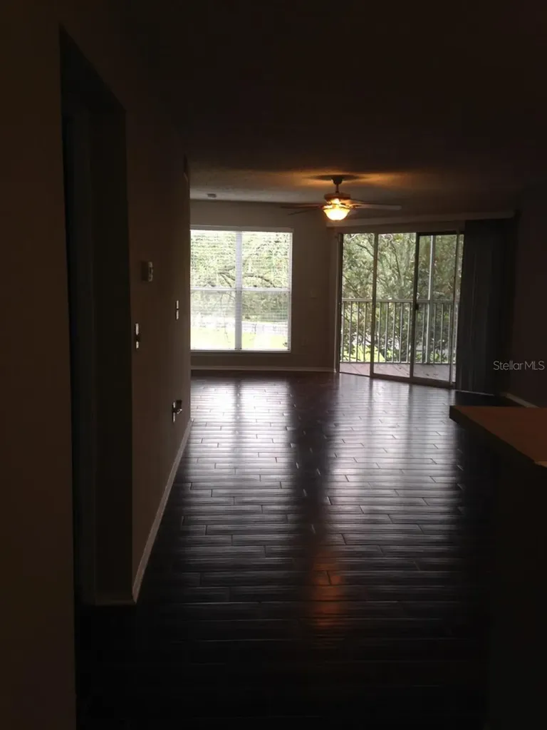 4211 Chatham Oak Court Tampa FL 33624