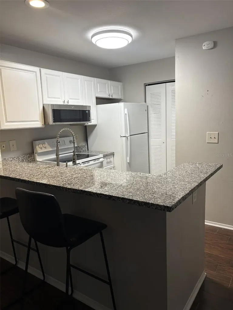 4211 Chatham Oak Court Tampa FL 33624