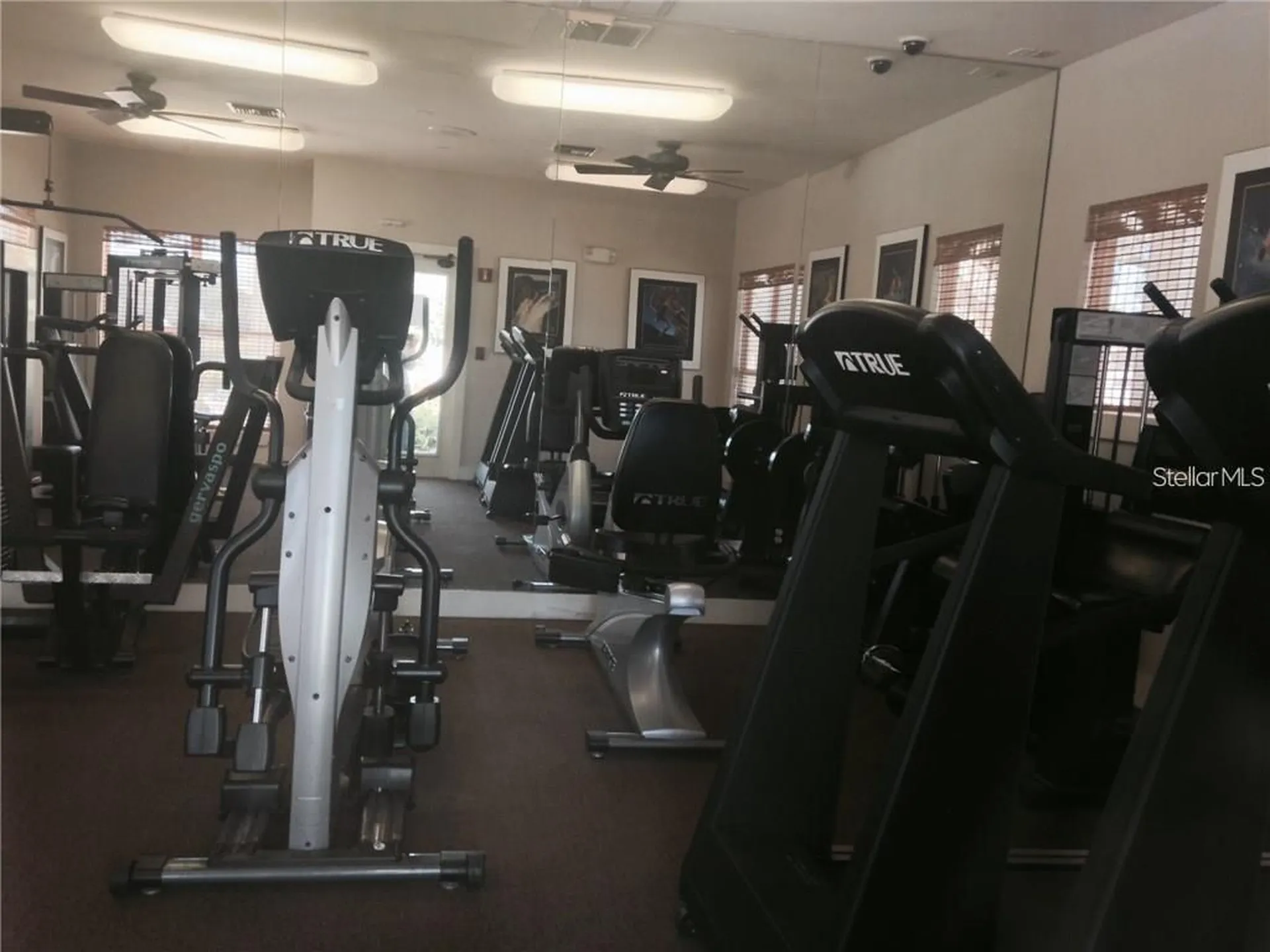 4211 Chatham Oak Court Tampa FL 33624