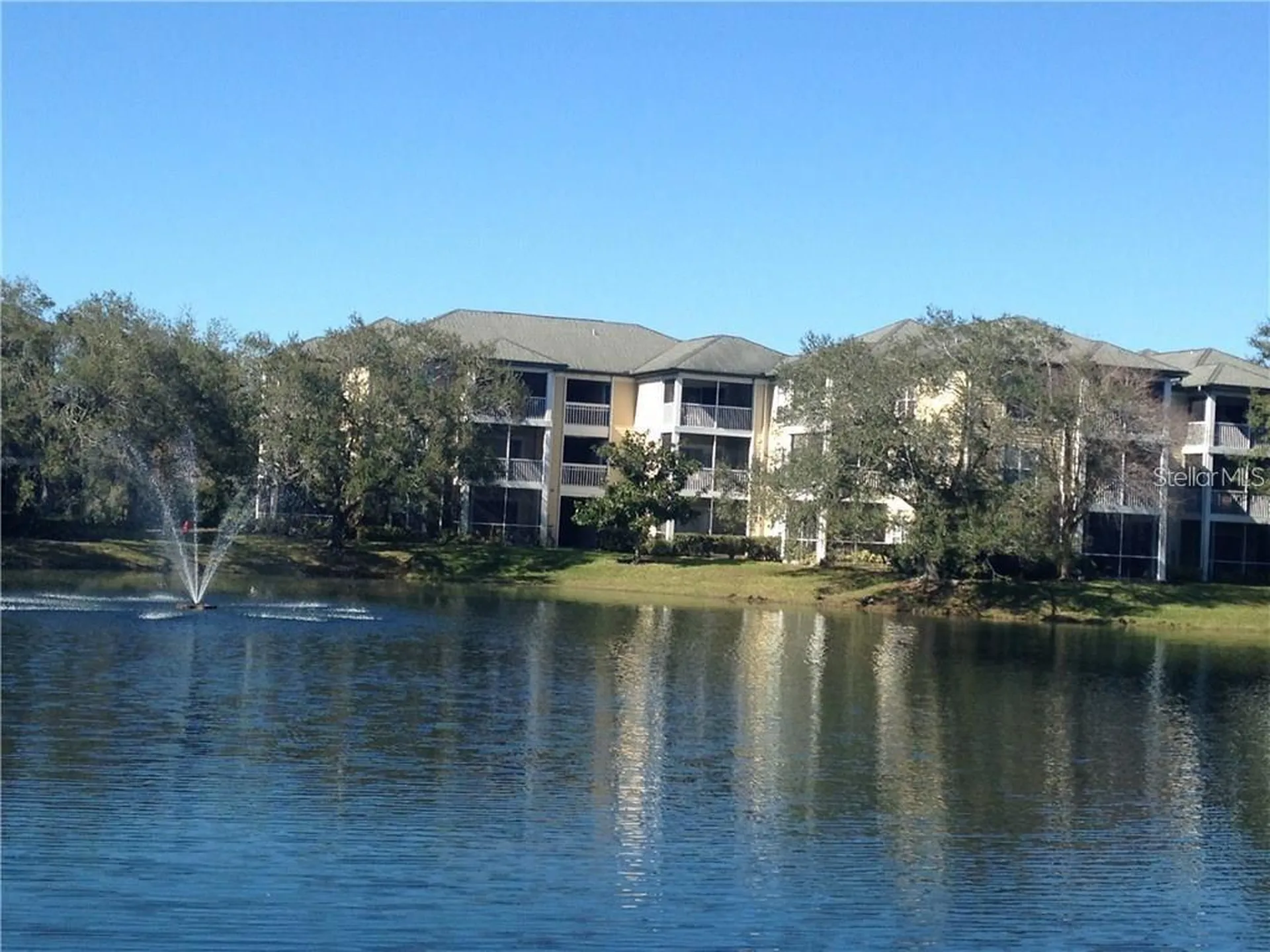 4211 Chatham Oak Court Tampa FL 33624