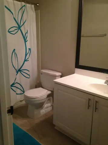 4211 Chatham Oak Court Tampa FL 33624