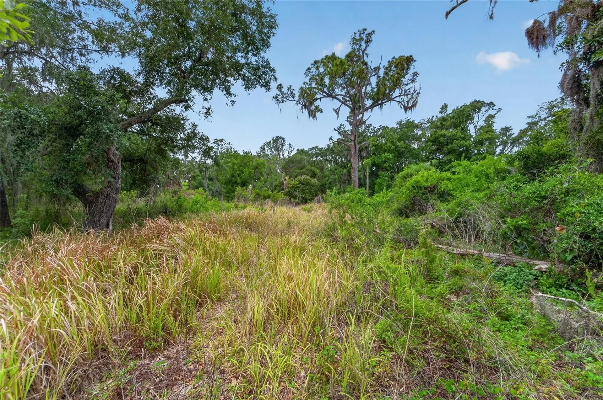 2819 Saffold Road Wimauma FL 33598