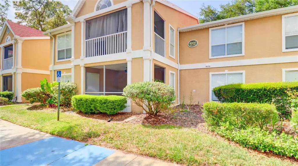 9481 Highland Oak Drive Tampa FL 33647