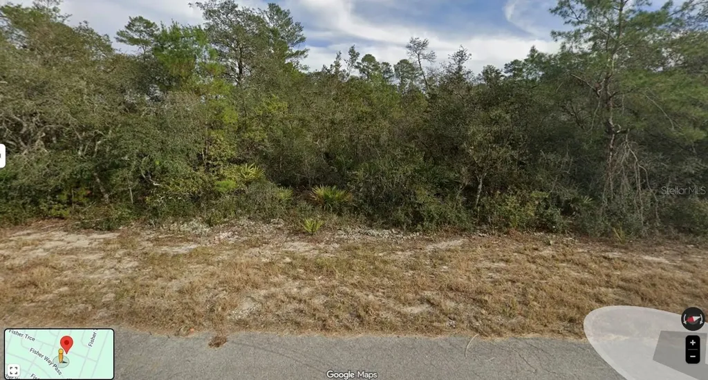 Fisher Trace Trail Ocklawaha FL 32179