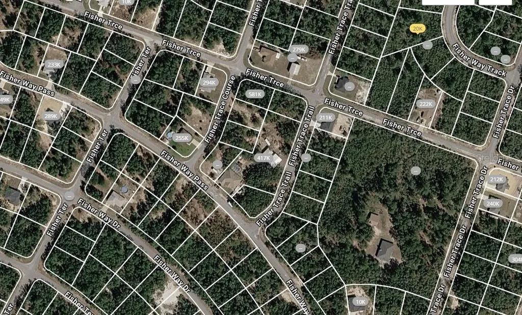 Fisher Trace Trail Ocklawaha FL 32179