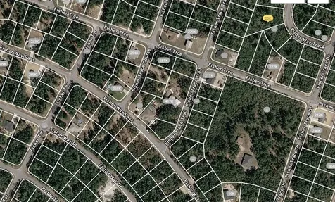 Fisher Trace Trail Ocklawaha FL 32179