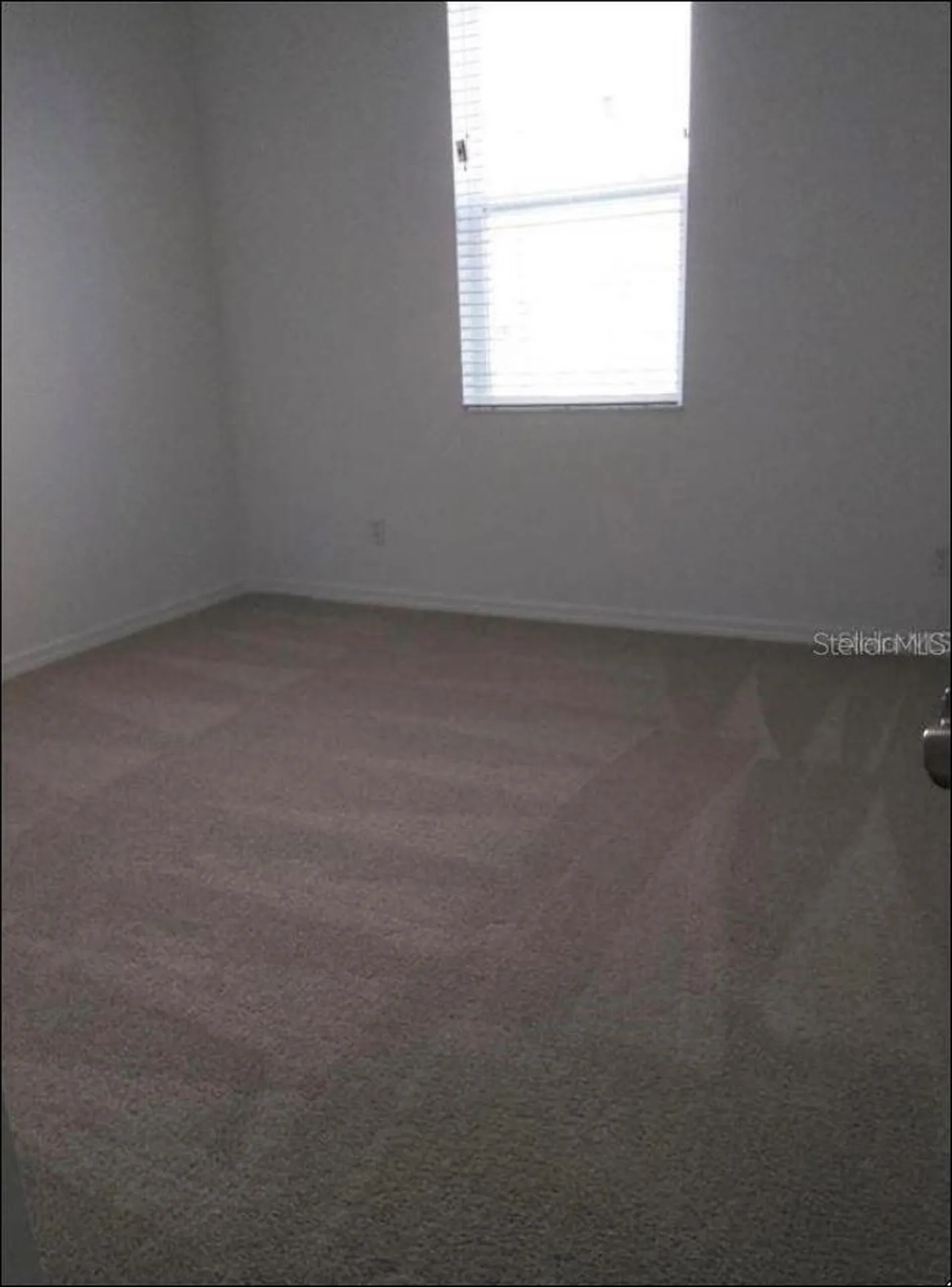 1704 Nature View Drive Lutz FL 33558