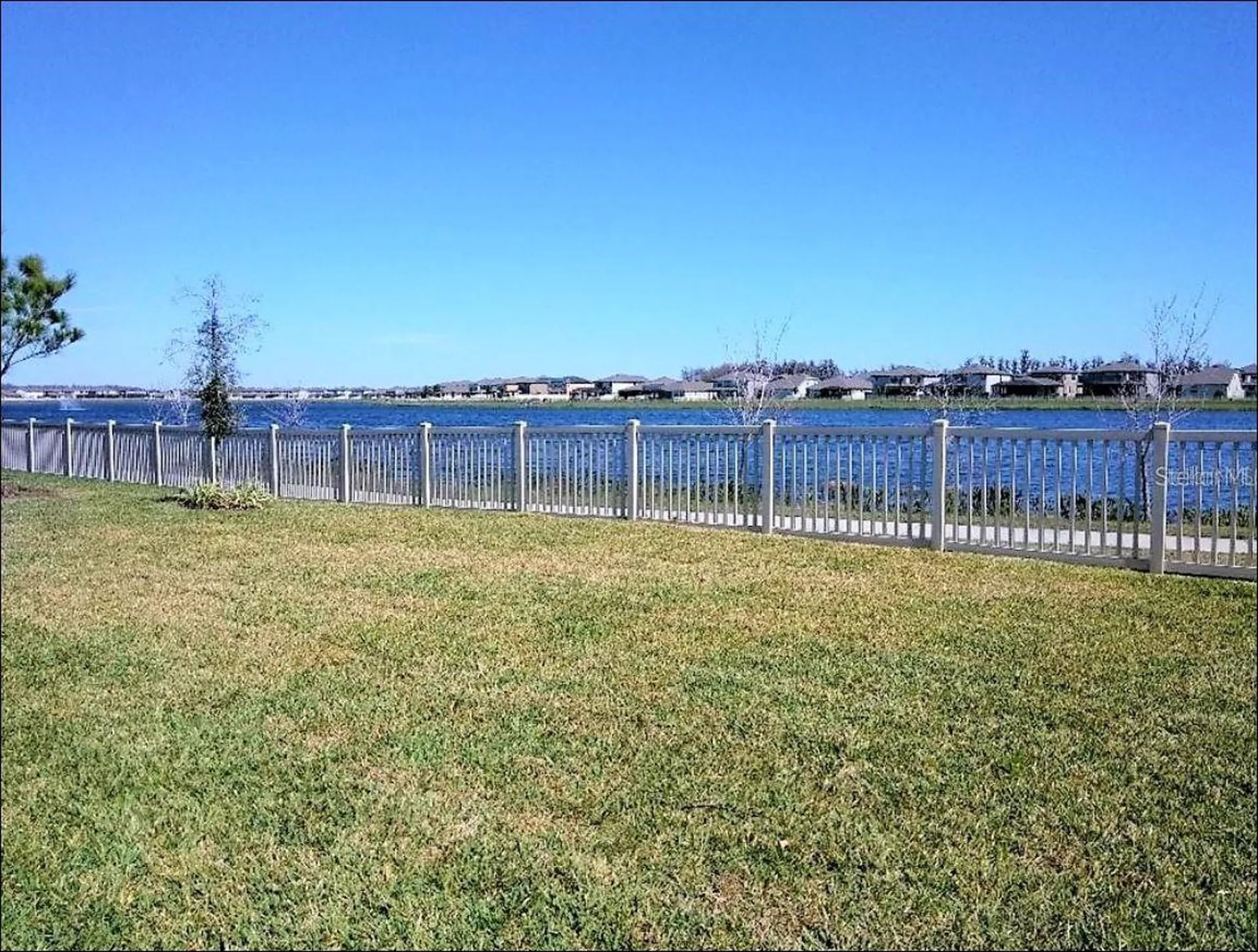 1704 Nature View Drive Lutz FL 33558
