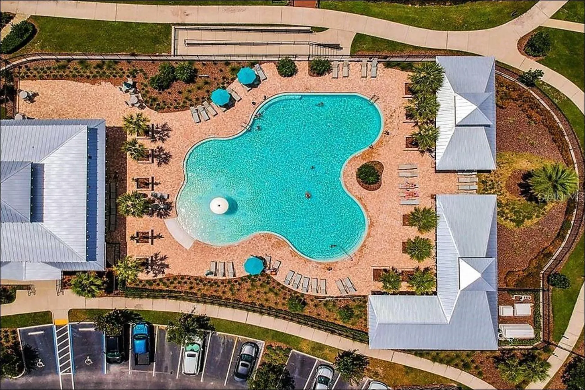 1704 Nature View Drive Lutz FL 33558