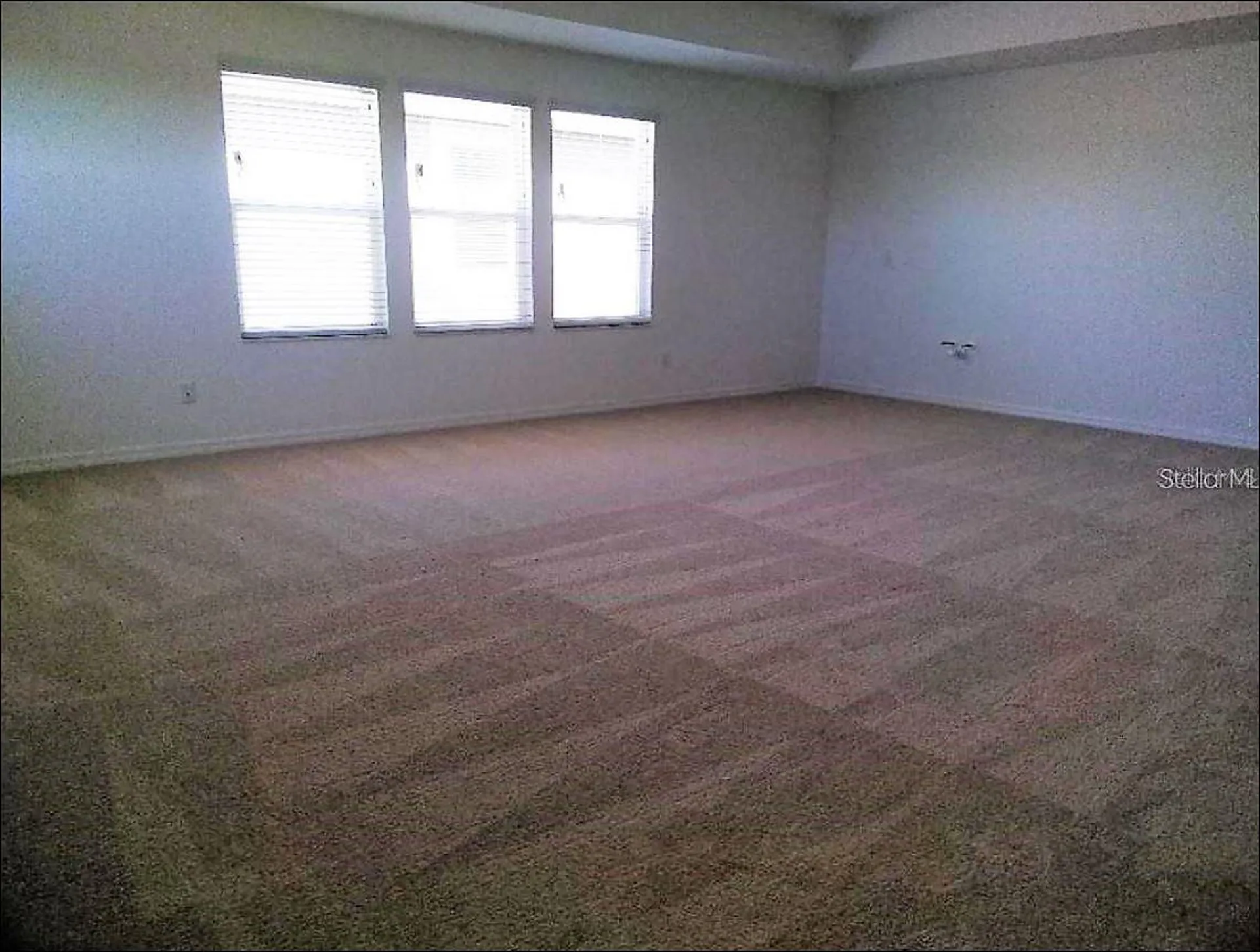 1704 Nature View Drive Lutz FL 33558