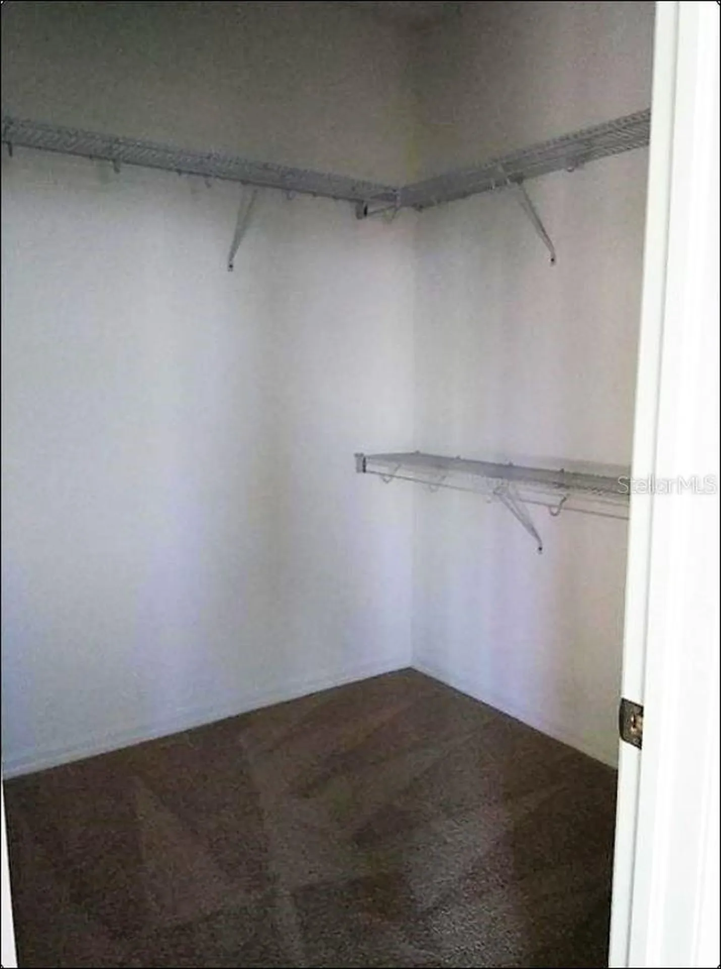 1704 Nature View Drive Lutz FL 33558