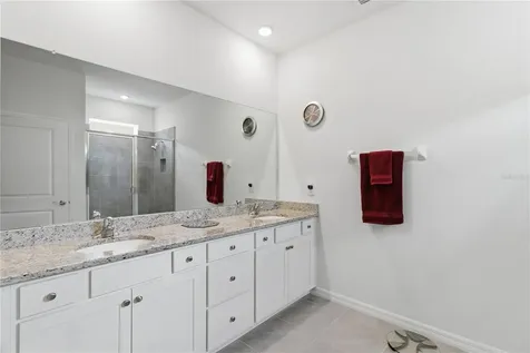 3827 Mossy Limb Court Palmetto FL 34221