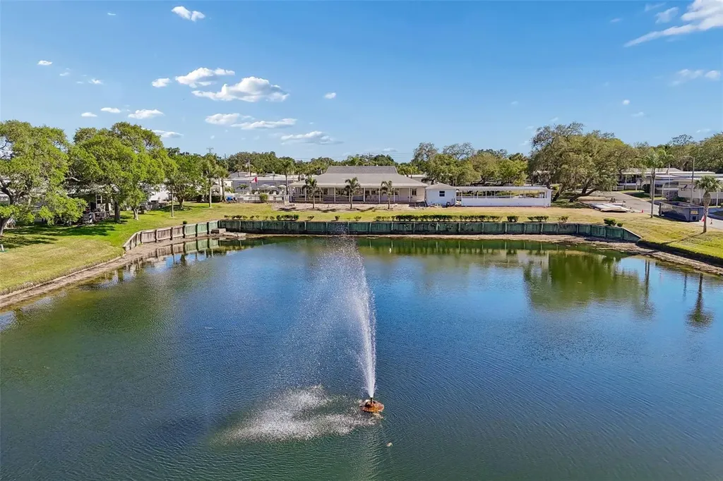 133 Cedar Drive Palm Harbor FL 34684
