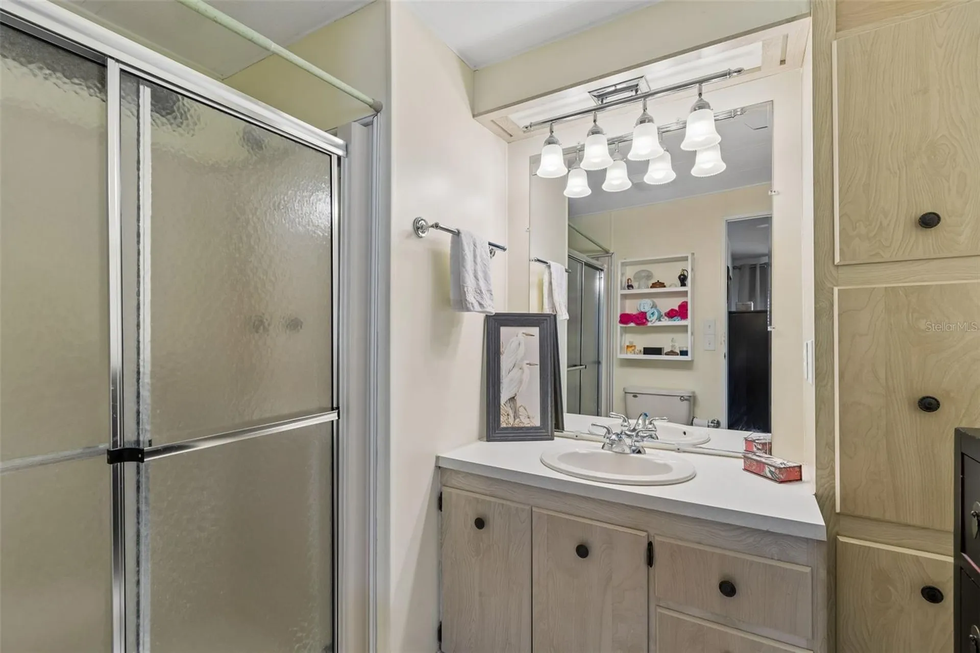 133 Cedar Drive Palm Harbor FL 34684
