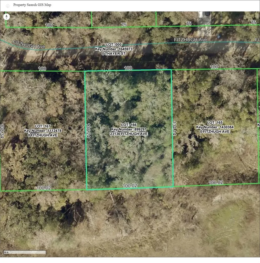 23136 Fitzhugh Avenue Brooksville FL 34601