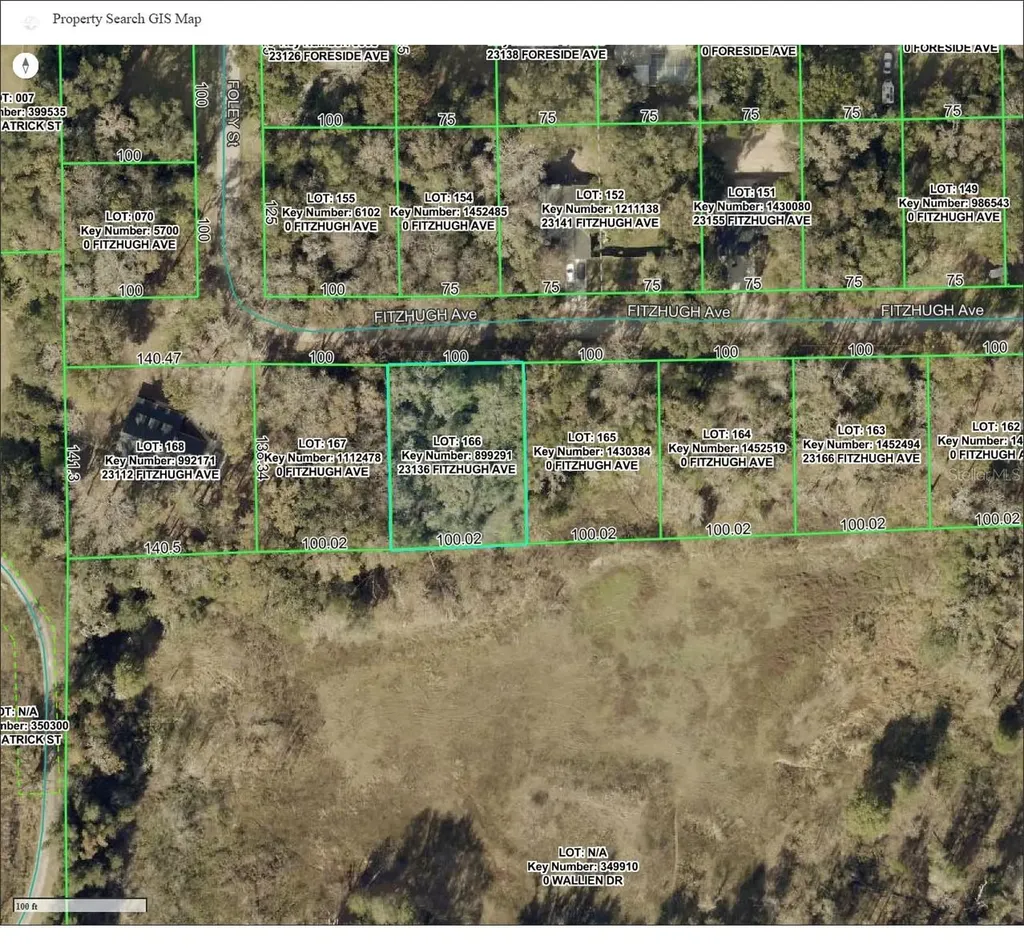 23136 Fitzhugh Avenue Brooksville FL 34601