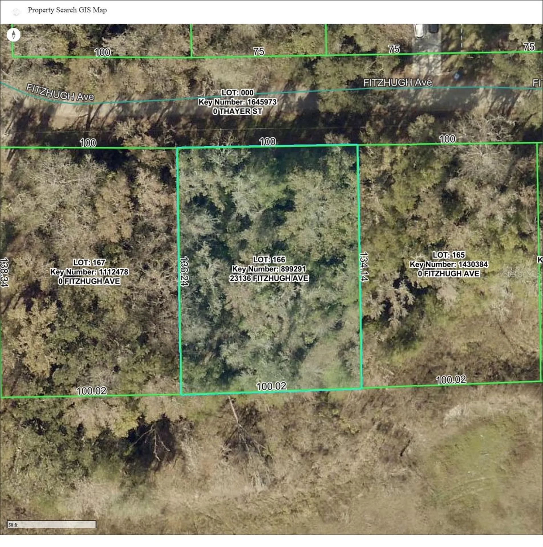 23136 Fitzhugh Avenue Brooksville FL 34601