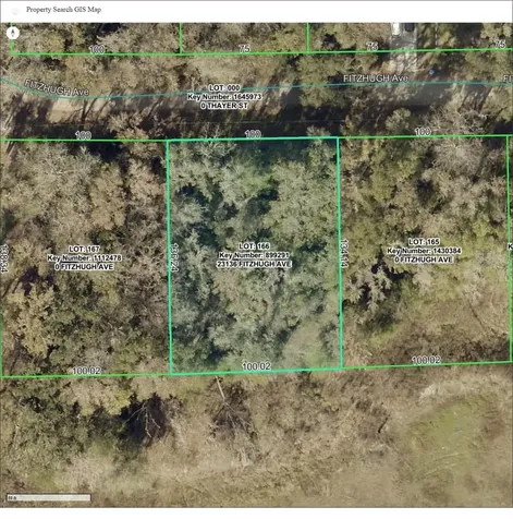 23136 Fitzhugh Avenue Brooksville FL 34601