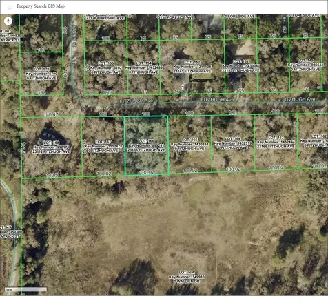 23136 Fitzhugh Avenue Brooksville FL 34601