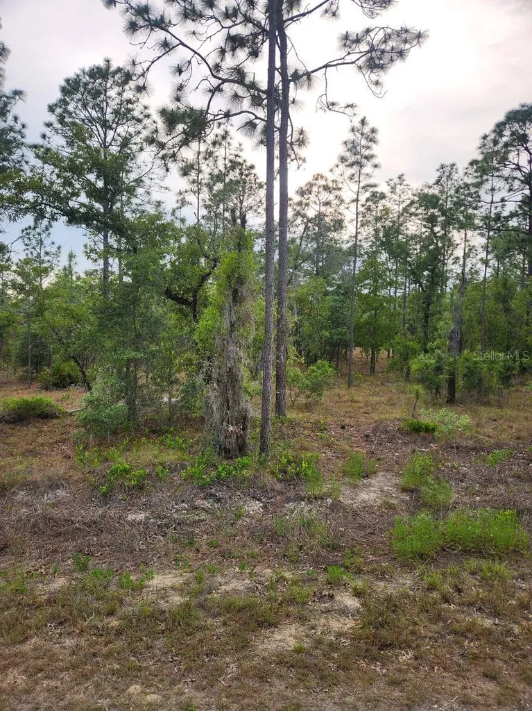00 SE 130th Court Dunnellon FL 34431