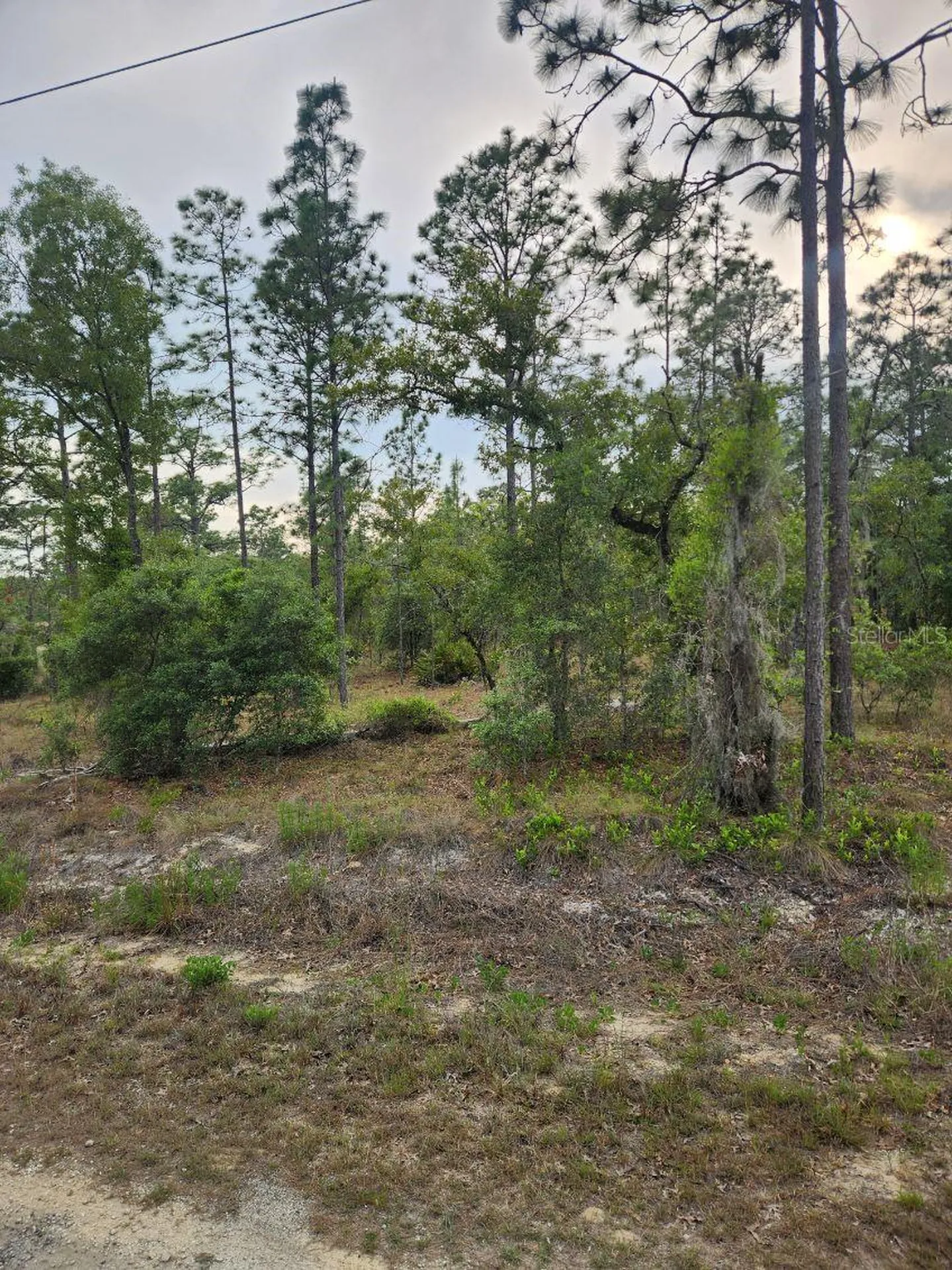 00 SE 130th Court Dunnellon FL 34431