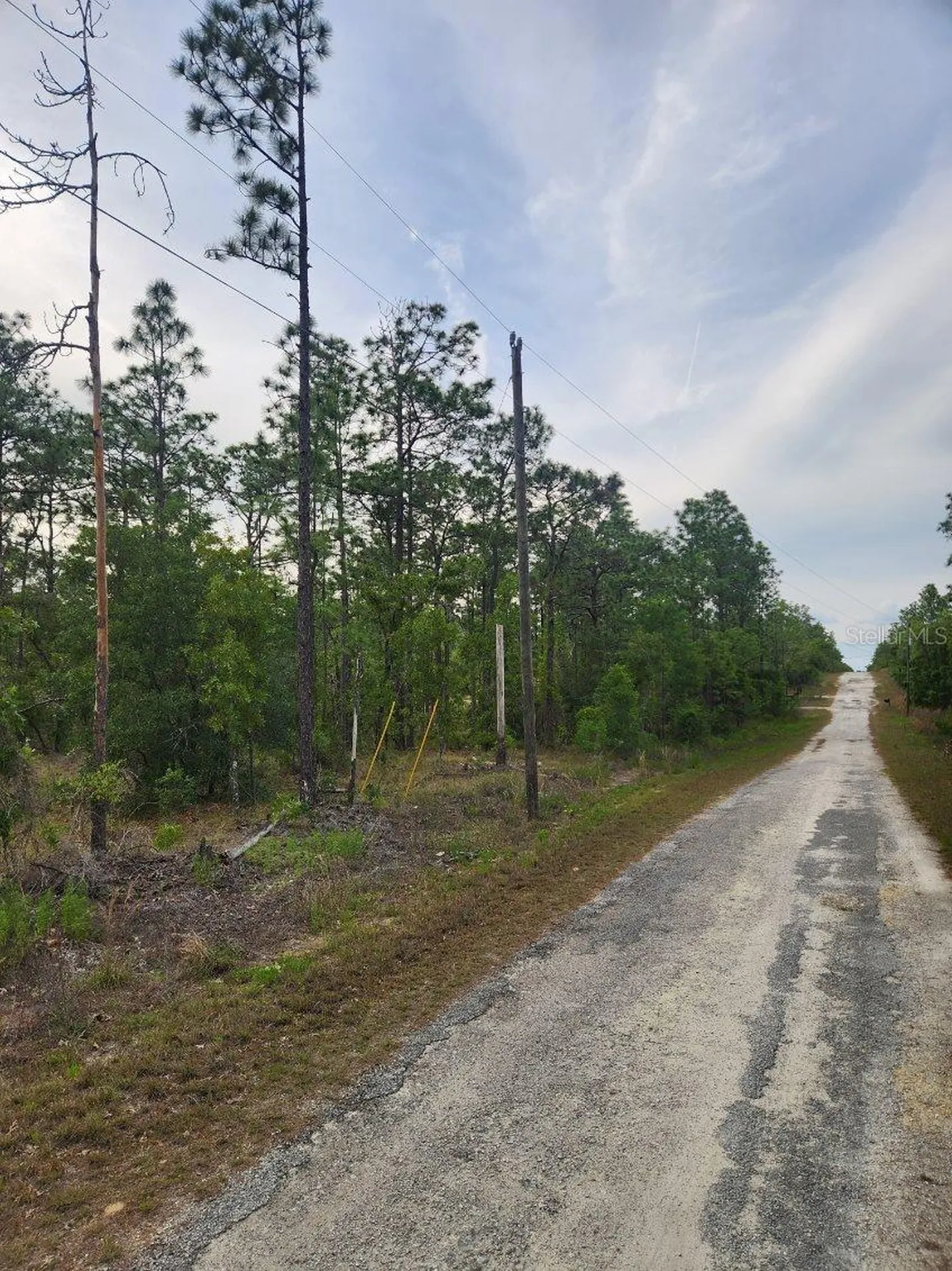 00 SE 130th Court Dunnellon FL 34431