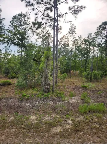 00 SE 130th Court Dunnellon FL 34431