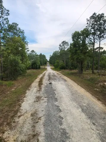 00 SE 130th Court Dunnellon FL 34431