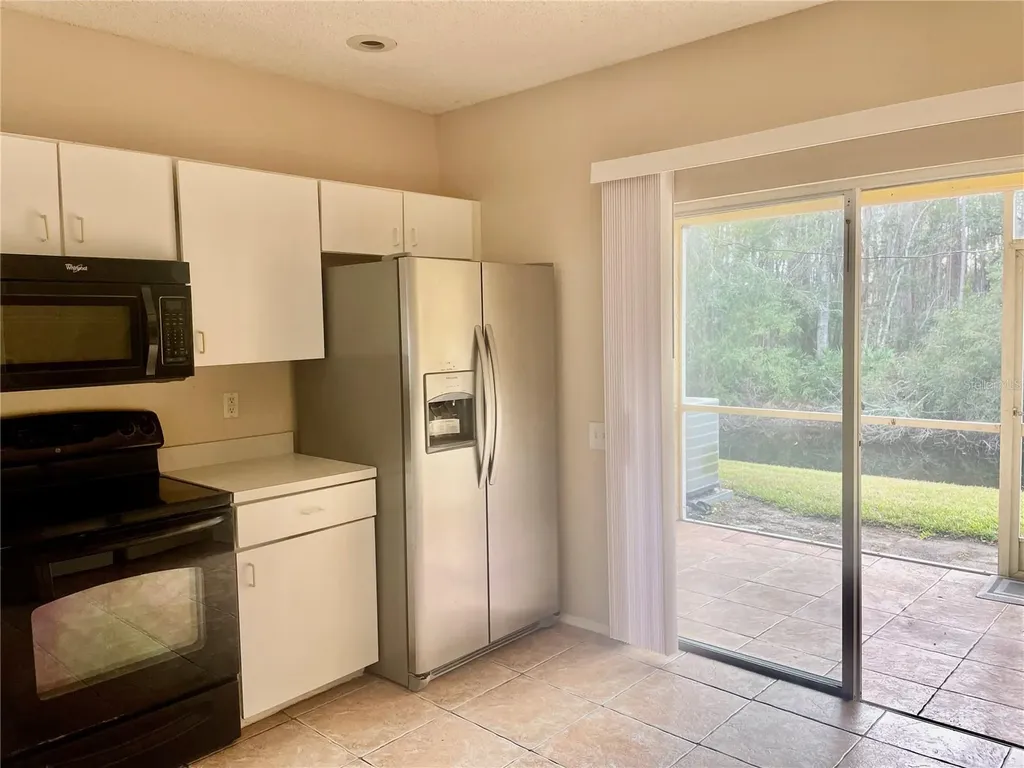 29916 Alta Vita Lane Wesley Chapel FL 33543