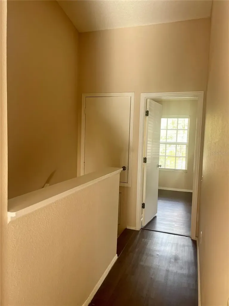 29916 Alta Vita Lane Wesley Chapel FL 33543