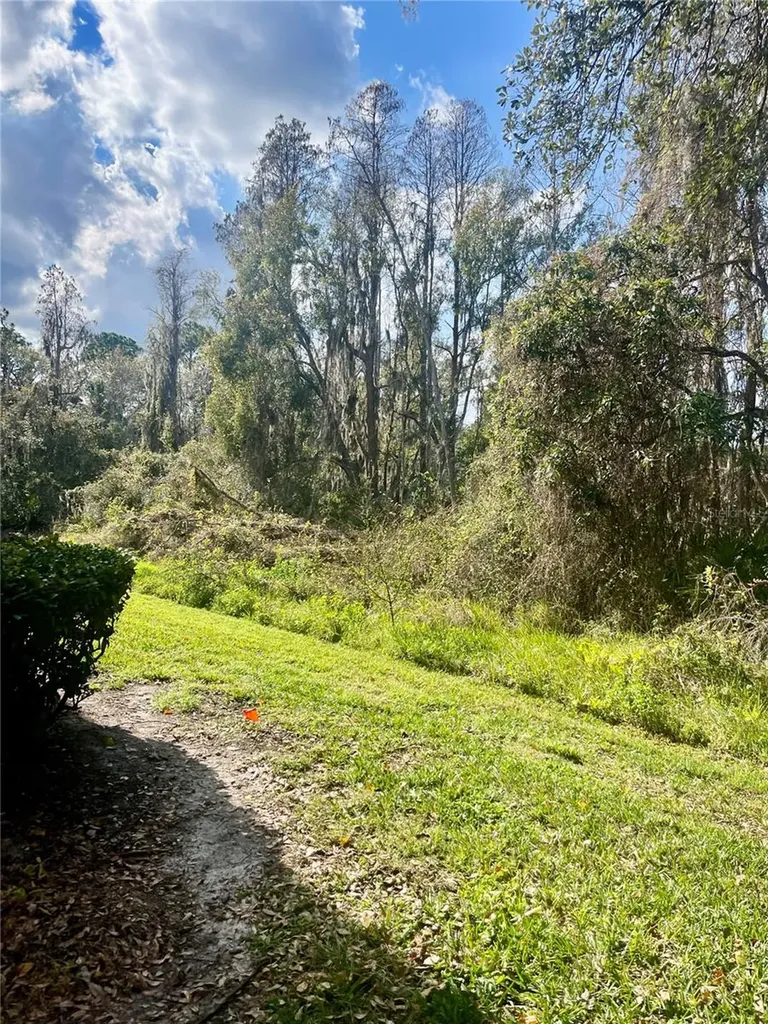 29916 Alta Vita Lane Wesley Chapel FL 33543