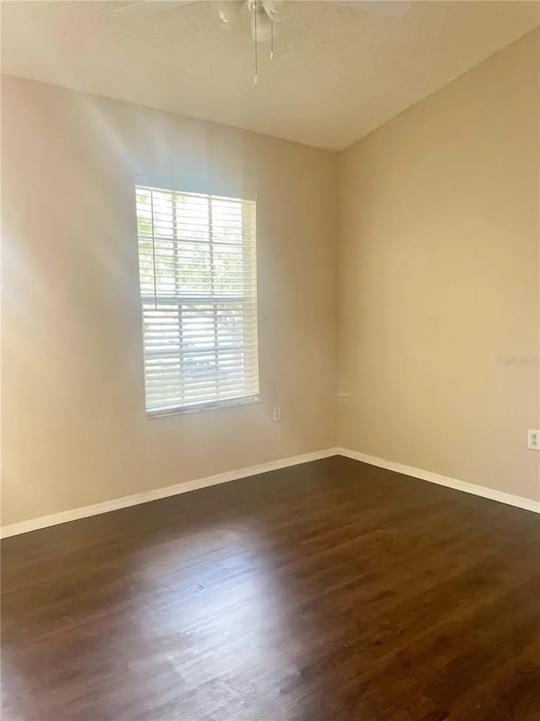 29916 Alta Vita Lane Wesley Chapel FL 33543
