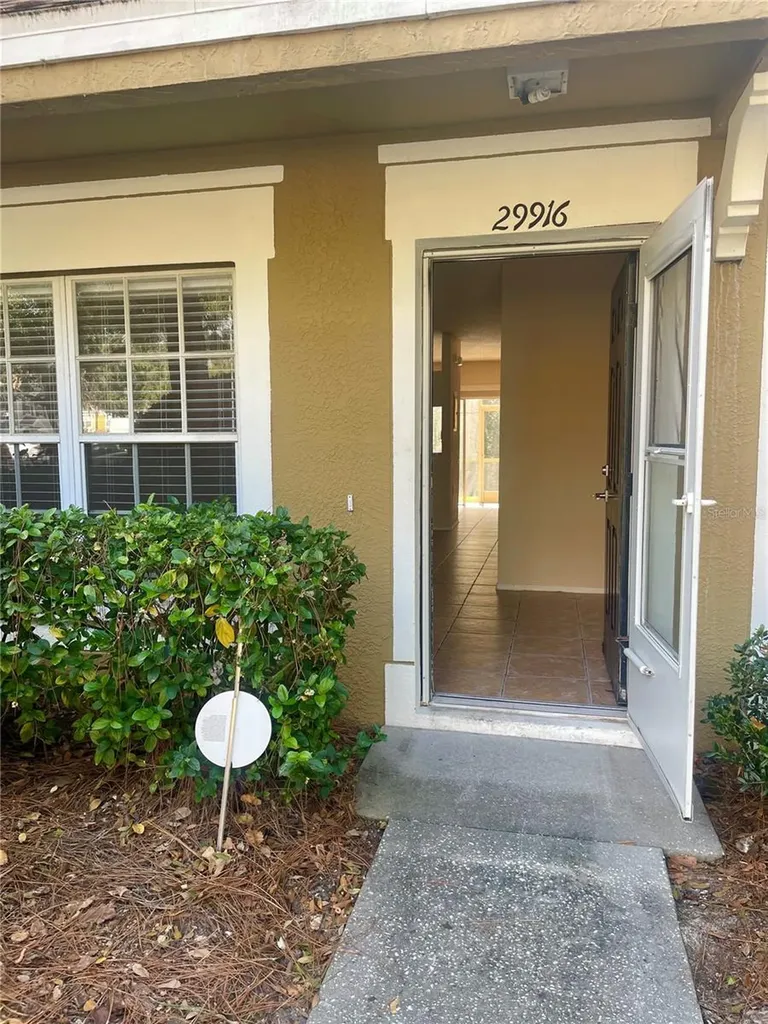 29916 Alta Vita Lane Wesley Chapel FL 33543