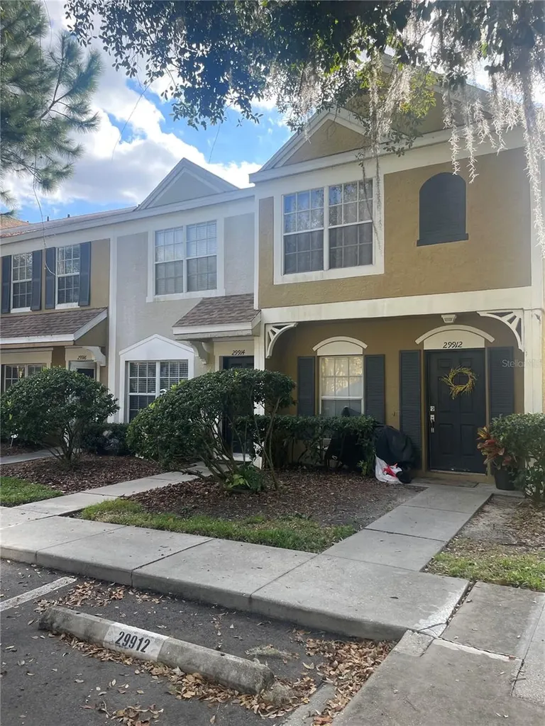 29916 Alta Vita Lane Wesley Chapel FL 33543