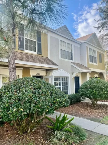 29916 Alta Vita Lane Wesley Chapel FL 33543