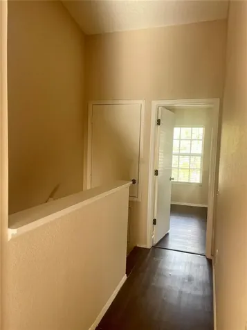29916 Alta Vita Lane Wesley Chapel FL 33543