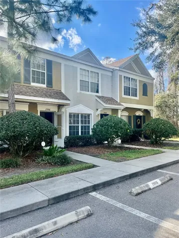29916 Alta Vita Lane Wesley Chapel FL 33543