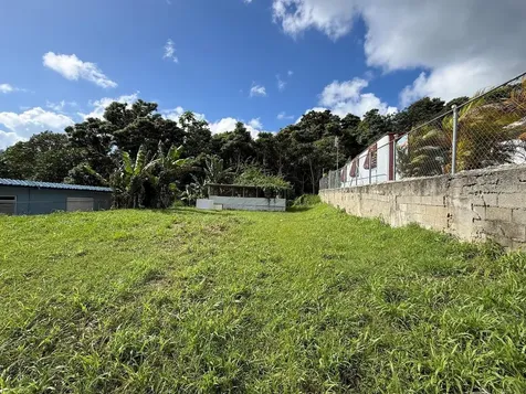 PR-759 (Int) Calle 5 Lote 269 Maunabo PR 00707