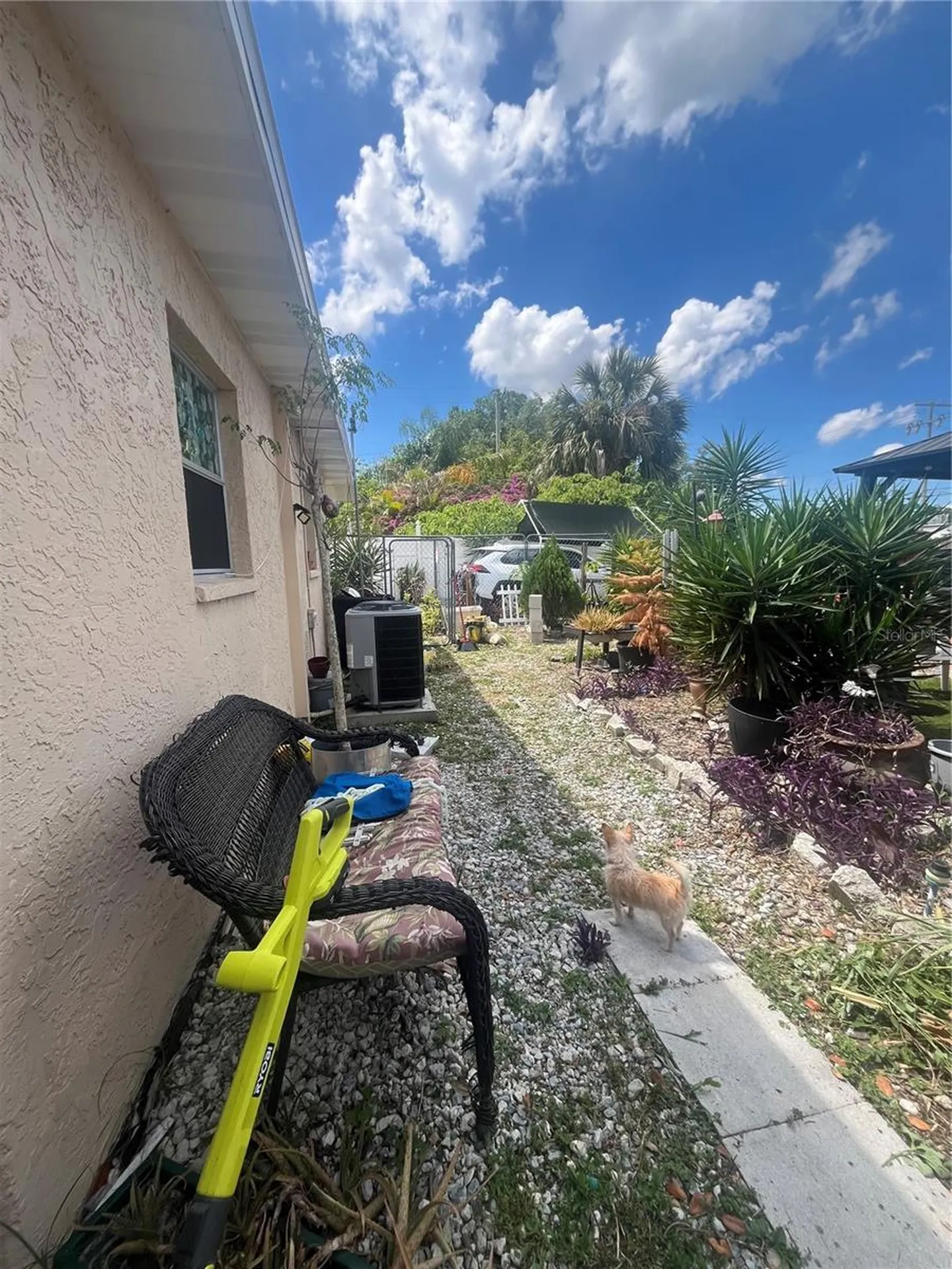 Tampa FL 33604