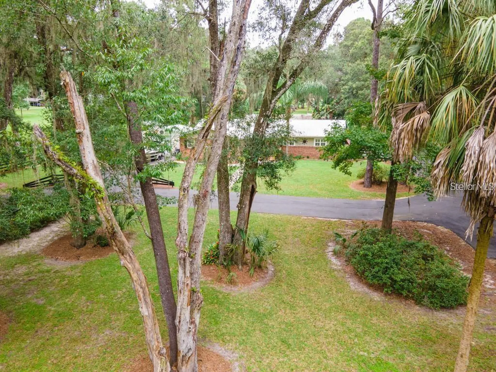 3341 SE 45th Street Ocala FL 34480