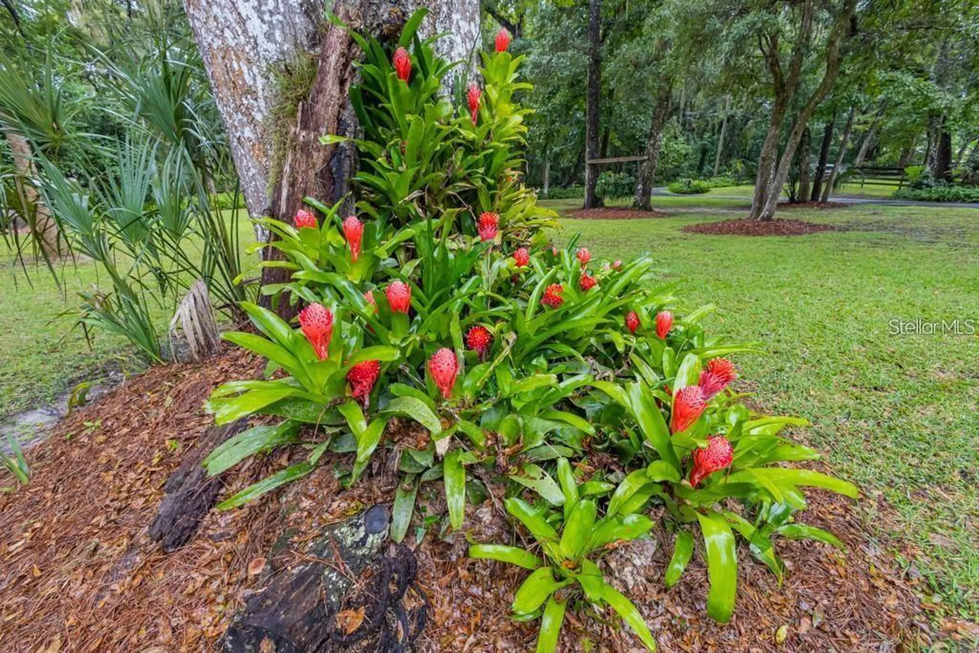 3341 SE 45th Street Ocala FL 34480
